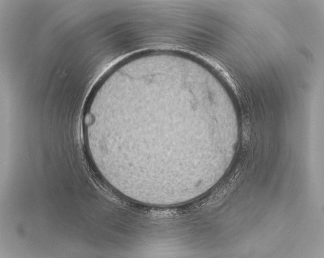 X0000115520887200912040926