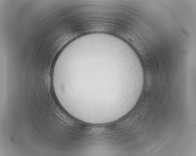 X0000115520890200912040926