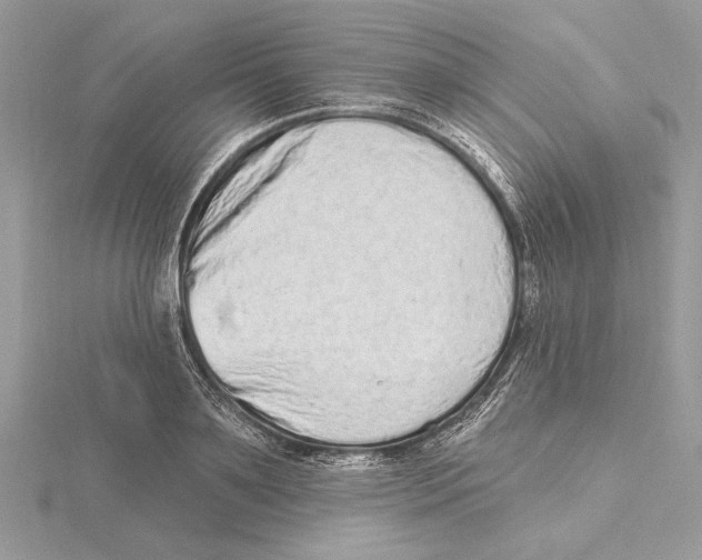 X0000115520891200912040926