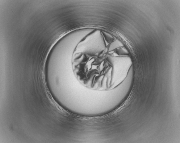 X0000115520892200912040926