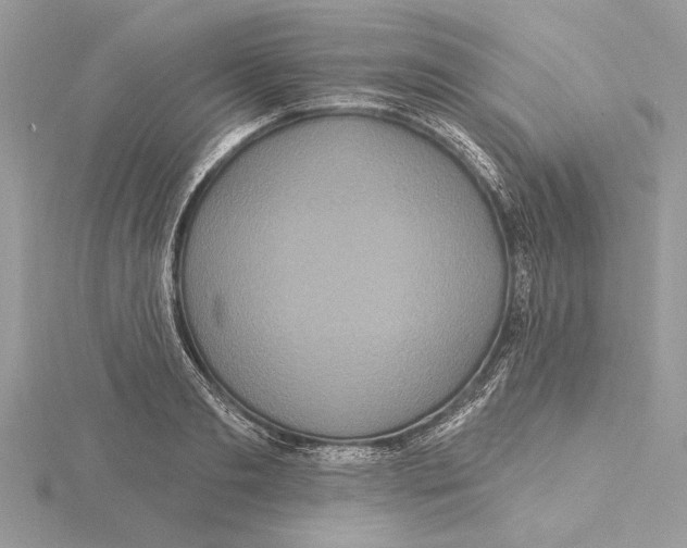 X0000115520893200912040926