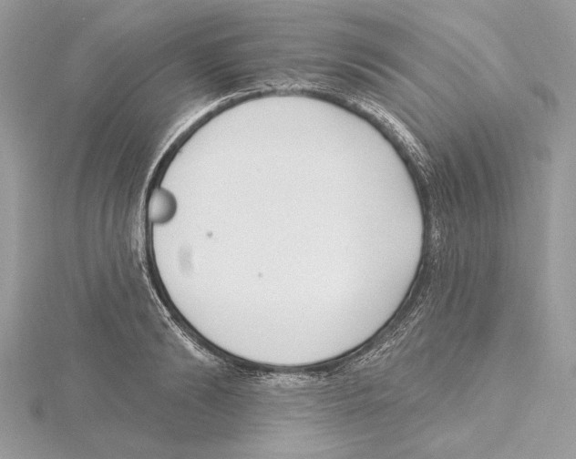 X0000115520894200912040926