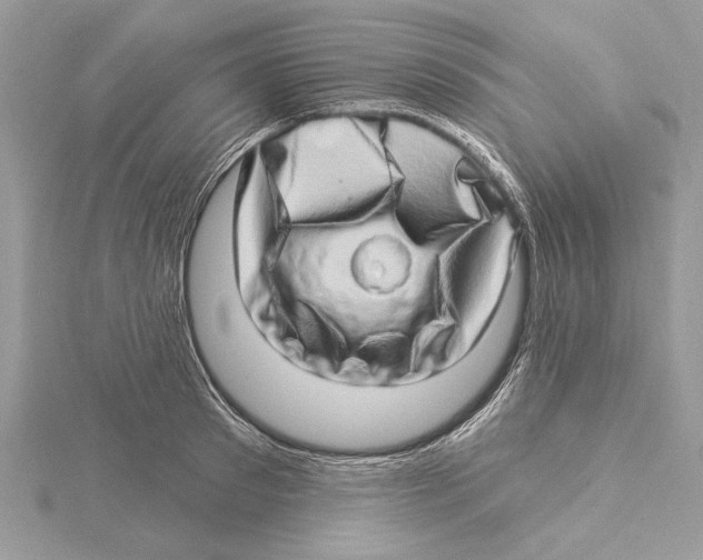 X0000115520897200912040926