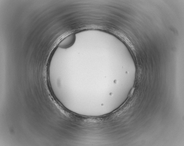 X0000115520898200912040926