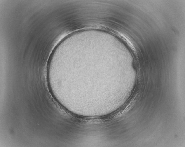 X0000115520899200912040926