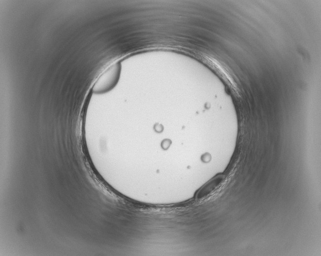 X0000115520900200912040926