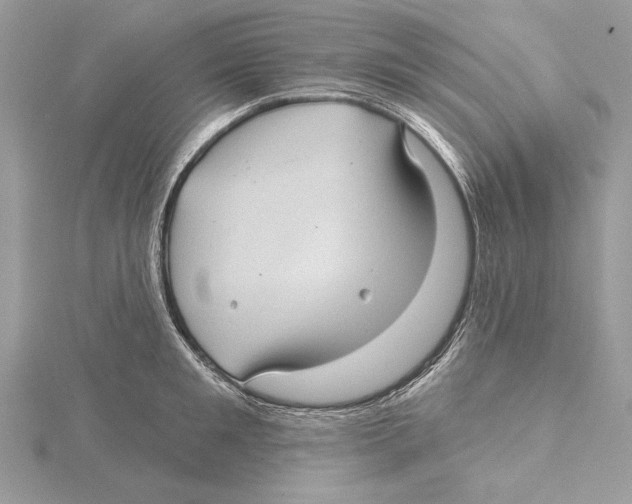 X0000115520901200912040926