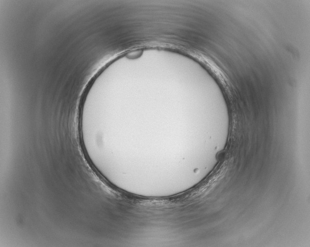 X0000115520902200912040926