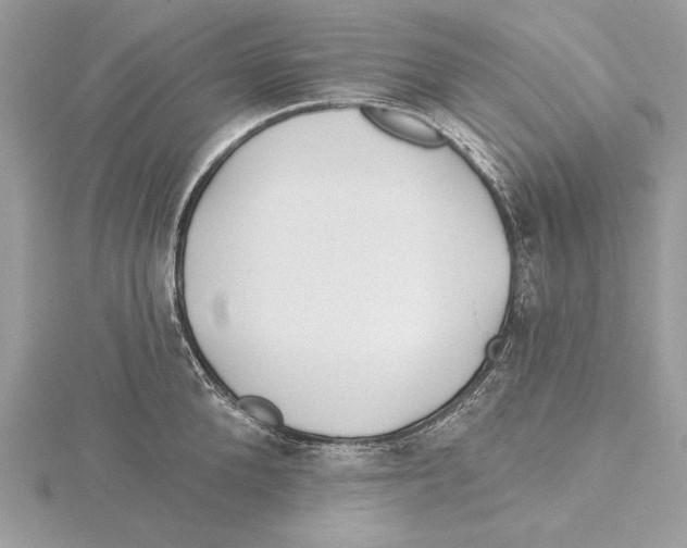 X0000115520904200912040926