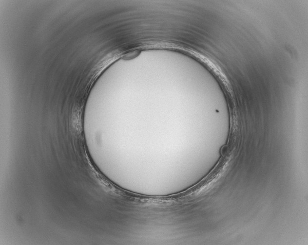 X0000115520905200912040926