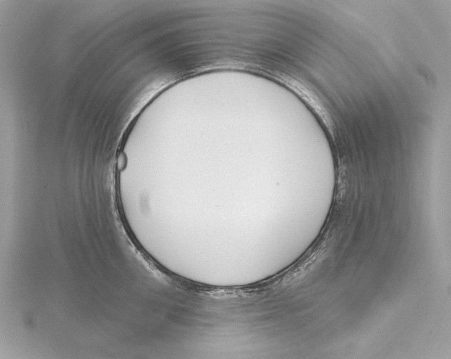 X0000115520906200912040926