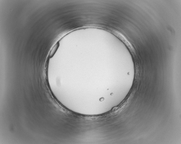 X0000115520908200912040926