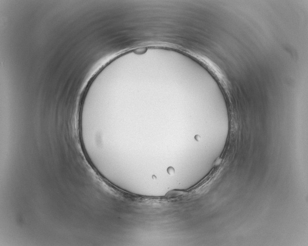 X0000115520910200912040926