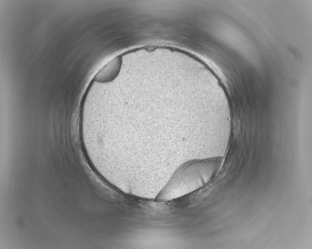 X0000115520911200912040926