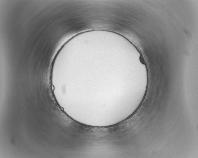 X0000115520912200912040926