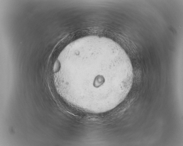 X0000115520913200912040925