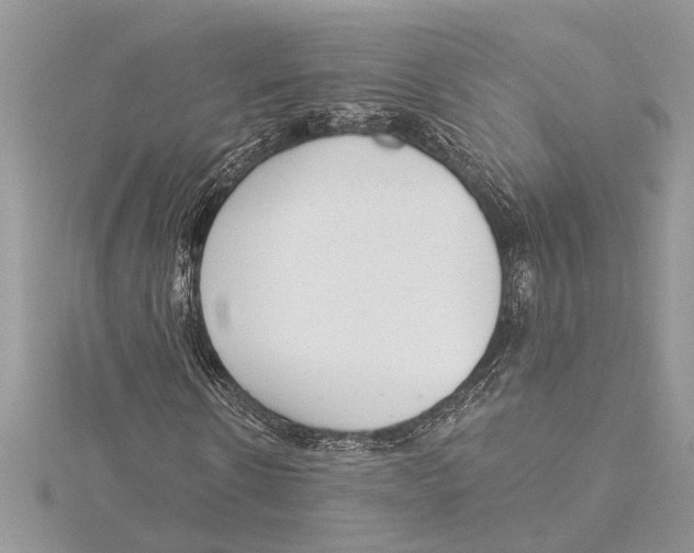 X0000115520914200912040925