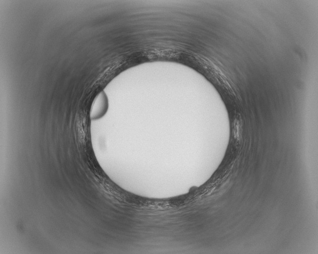 X0000115520915200912040926