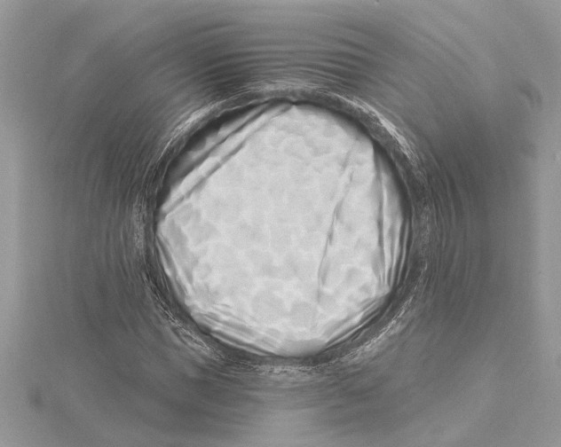 X0000115520921200912040926