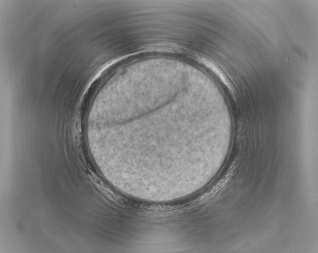 X0000115520923200912040926