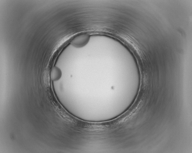 X0000115520925200912040926