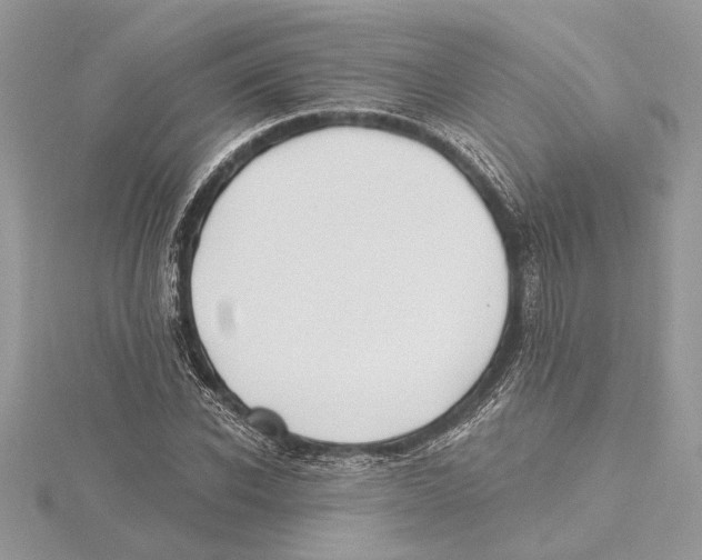 X0000115520926200912040926