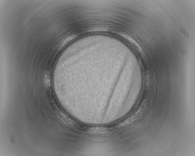 X0000115520929200912040926