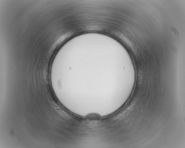 X0000115520930200912040926