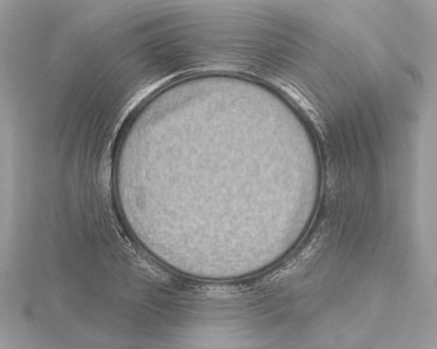 X0000115520933200912040926