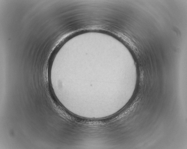 X0000115520934200912040926