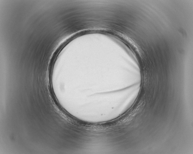 X0000115520935200912040926