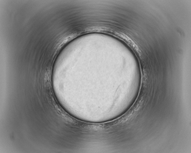 X0000115520937200912040926