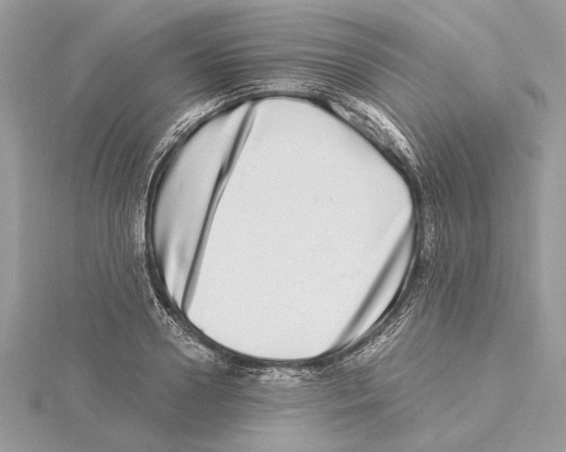 X0000115520938200912040926