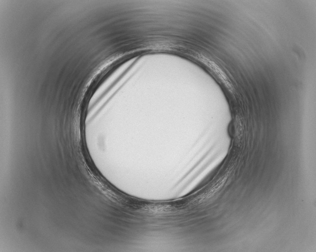 X0000115520939200912040926