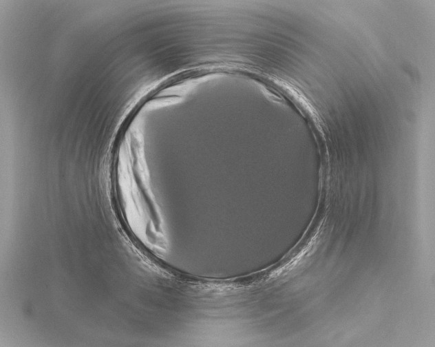 X0000115520941200912040926