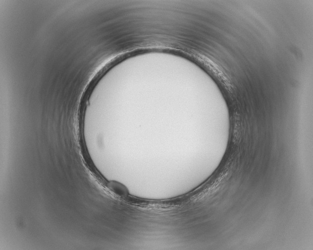 X0000115520942200912040926