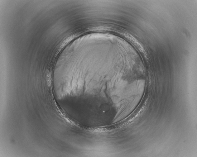 X0000115520945200912040926