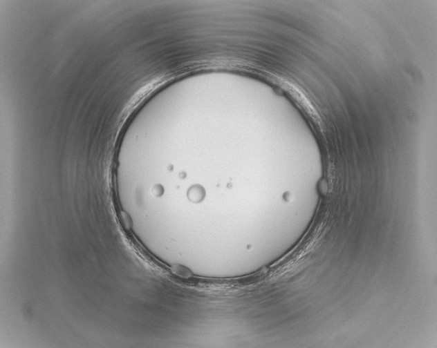 X0000115520946200912040926