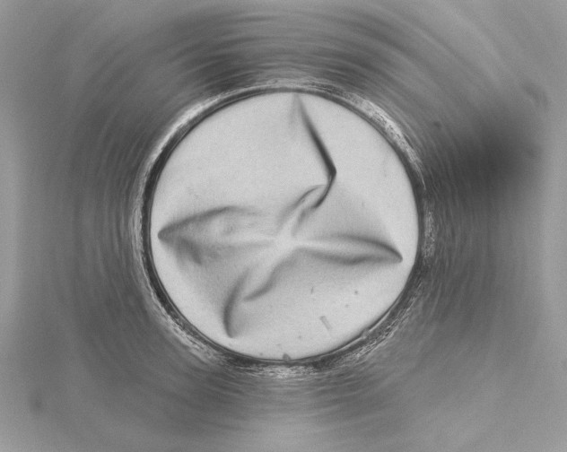 X0000115520947200912040926