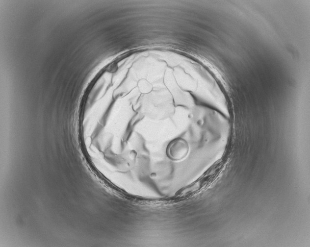 X0000115520949200912040926