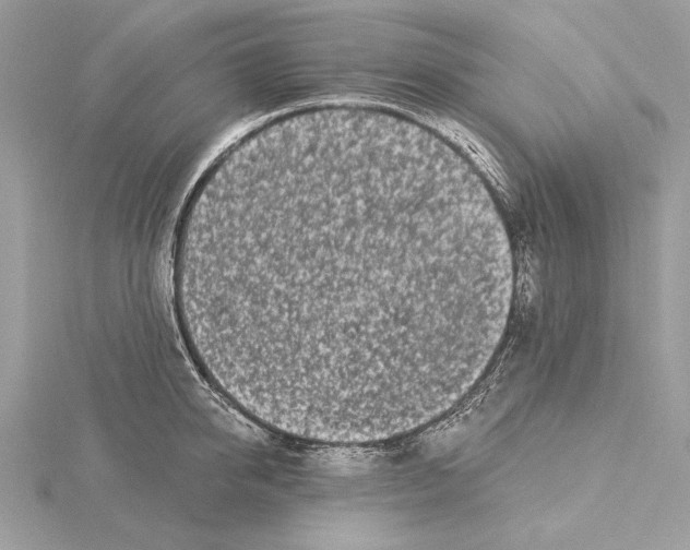 X0000115520950200912040926