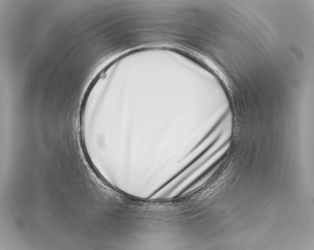 X0000115520951200912040926