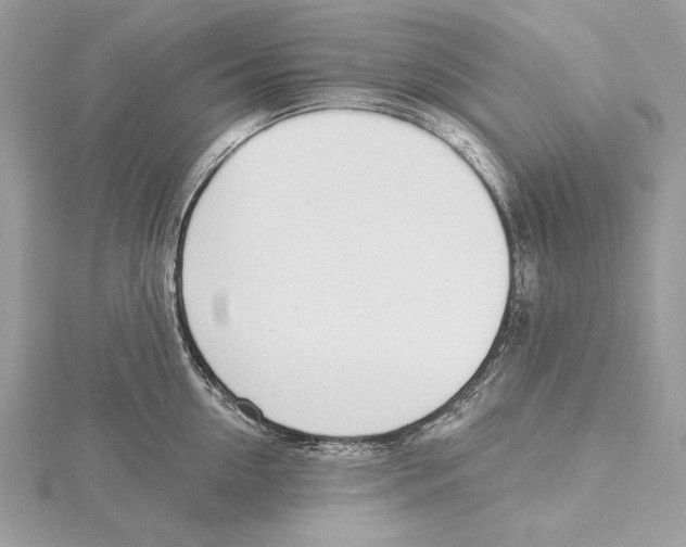 X0000115520954200912040926