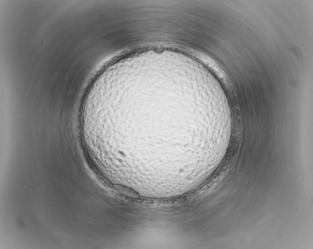 X0000115520958200912040926