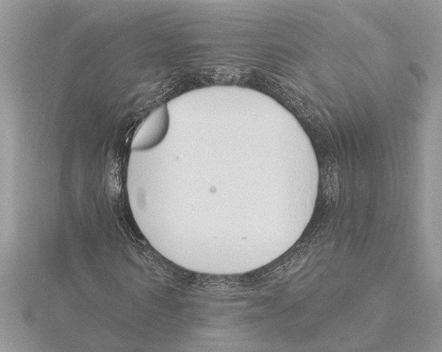 X0000115520962200912040925