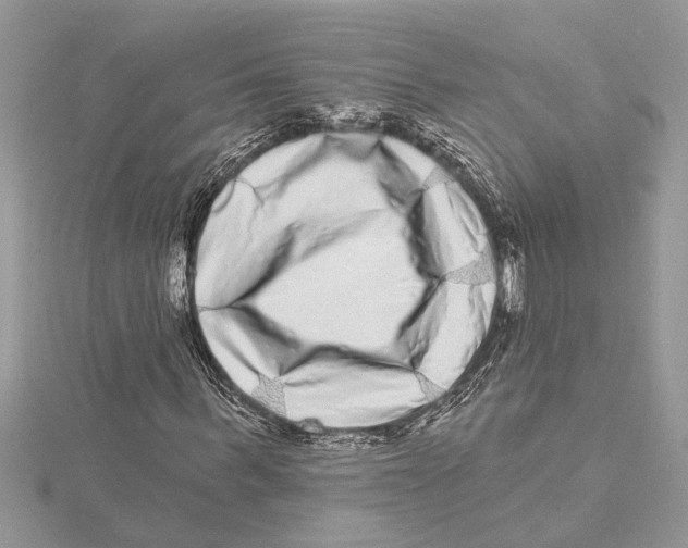 X0000115520963200912040925