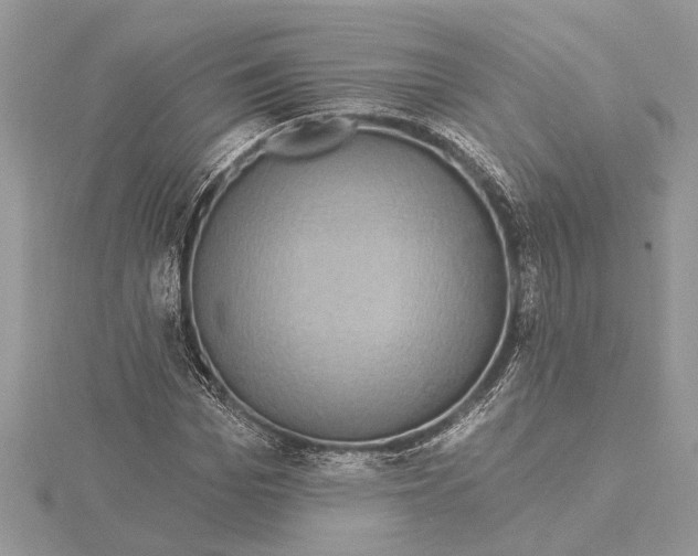 X0000115520969200912040925