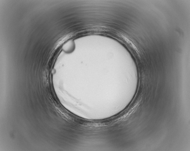 X0000115520970200912040925