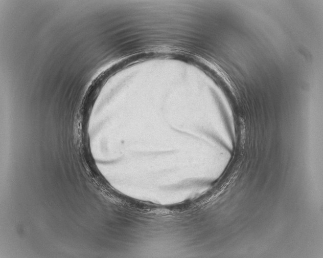 X0000115520971200912040925