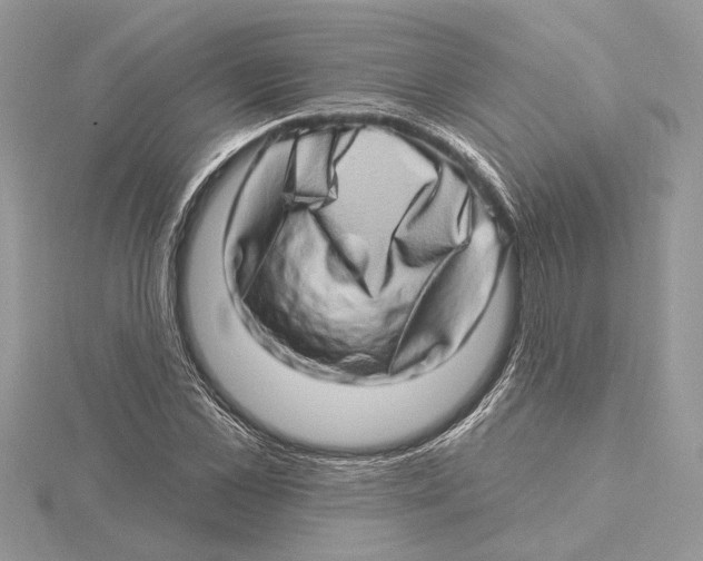 X0000115520973200912040925